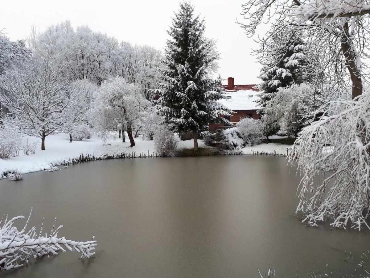 Labadkowo Vila Labedzie Exterior foto